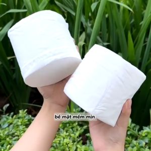 Giấy vệ sinh 6 cuộn có lõi 10 cuộn không lõi nhà TopGia