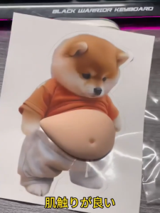 2Pcs 3D Teddy Dog Belly Stickers / Self-adhesive Pads Door Stopper / Cute Puppy Silicone Stress Relief Toys