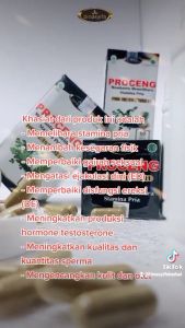 PROCENG Obat Herbal Memelihara Kesehatan Stamina Pria Binasyifa 60 Kapsul Herbal