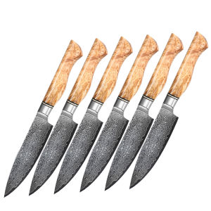 6PCS Steak Knife Set Ultra Sharp Blade 67 Layers Damascus Steel Ergonomic Sycamore Wood Handle Smooth Meat Cutting Knives Premiu