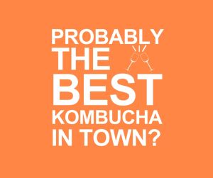 Releaf Lemon Ginger Kombucha 12 in 1 Bundle - Lemon Ginger Kombucha (300ml) x 12 bottles