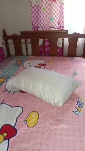 4Pcs Pillow Case 18x28 Inches High Quality Bedding Pillow Cases Canadian Cotton Large Size Pillow Case Cover Pillow Case Silk Pillow Case Cotton Plain Pillowcase Aesthetic Makapal Plaid Print Sale Original Buy 1 Take 1