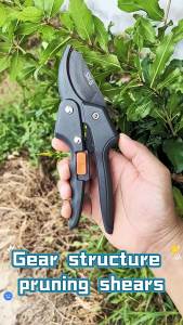 Pruning Shears Fruit Harvesting Pruning Shears