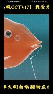 Kail Otomatis Ikan Mas & Kolam Baja Anti Karat