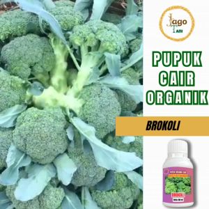 Pupuk Organik Cair Booster Penggemuk Tanaman Brokoli 100 Ml Agar Cepat Tumbuh By Jagotani Yogyakarta