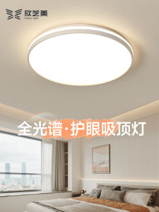 ไฟติดฝ้าแบบเรียบง่ายและทันสมัยสำหรับห้องนอนและห้องทำงาน ไฟ LED ทรงกลม แสงสีขาว ระบายแสงได้ดี