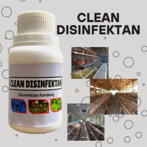 CLEAN DISINFEKTAN 100 ML - disinfektan kandang unggas ayam