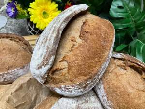 Sourdough Whole Wheat/ Rye ขนมปังเปลือกแข็ง เนื้อนุ่ม หนึบ ไม่กระด้าง