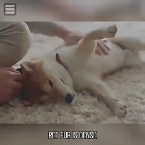 4Pcs Japan imported  ticks and fleas killer for dog 500ML pet insecticide spray Kill all the bugs Universal for cats and dogs Natural plant formula safe and non-irritating long-lasting care dog spray for ticks and fleas thick and flea killer for dogs