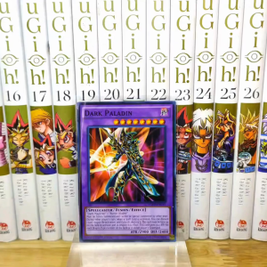 [YCDcardgame] Thẻ bài Yugioh chính hãng  Dark Paladin – Common