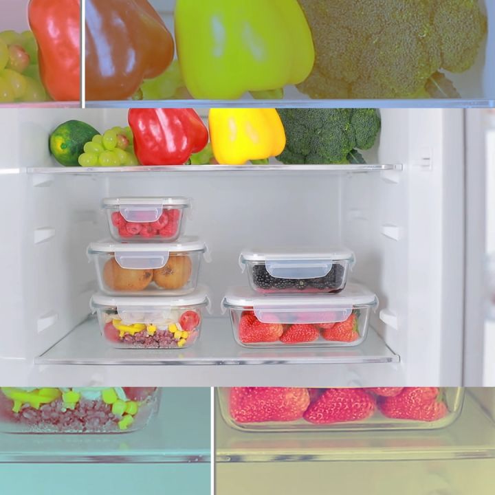Freska Borosilicate Glass Lunch Box – Airtight BPA-Free Plastic Lid (Multiple Sizes)