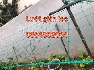 Lưới Làm Giàn Leo Lưới Giàn Mướp Dây Leo Giàn - Giá Rẻ Nhất Thị Trường
