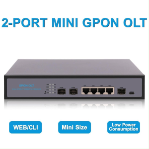 Mini GPON OLT 2 PON FTTH Low Power Consumption AC INPUT 100~240V Uplink 10G SFP+ 4*1G RJ45 WEB Management Support 256 ONUs