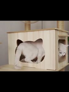 เสาลับเล็บ โครงปีนแมว คอนโดแมว คอนโดแมวไม้ ขนาดใหญ่ พร้อมโดมนอนแบบใส บันไดและกล่องนอน