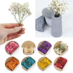 50pcs Dry Flowers Babys Breath Bouquet Gypsophila Floral Arrangement Wedding Party Decor Vase DIY Table Pampas Grass Decoration