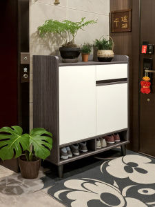 Narrow Entryway New Shoe Storage Cabinet