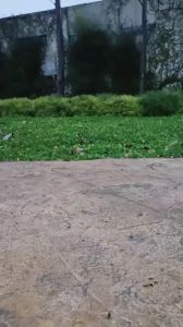 Sepatu Docmart Sneakers Wanita Sneakers Shoes Fashion Korea VASTY ST. 48G 4cm