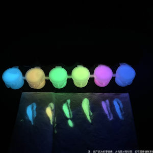 Borrence 20/60ml Fluorescent Pigment Long-Lasting Luminous Paint Glow In Dark Acrylic Paints Artwork DIY Festival Party Supplies