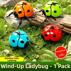 WANWEI | Winding Ladybug Model Toy