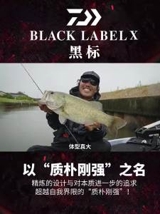Daiwa | Long-Casting Travel Fishing Rod 5 Sections