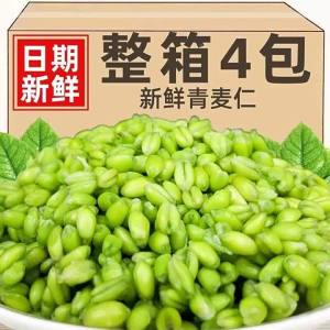 Special Fresh Wheat Grain for Porridge