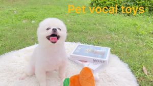 Đồ chơi hình các loài vật bằng bông có kèn kêu cho Chó Mèo - Love Pets Shop