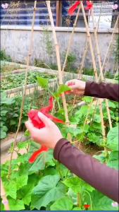 50pcs Garden Plant Clips Reusable for Vegetable and Fruit Support