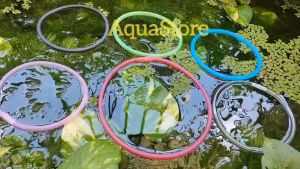 Vòng Nổi cho Cá ăn - Vòng chắn bèo nhiều màu sắc
