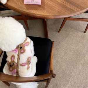 Áo Vest Ấm Áp Cho Chó Teddy Mùa Thu Đông Chống Lạnh Cho Mèo Bichon Pomeranian Áo Vest Cho Chó Và Mèo Thương Hiệu Khác Thường Ngày