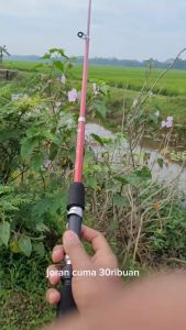 Joran Pancing Teleskopik Ultralight: Pemilihan & Penggunaan