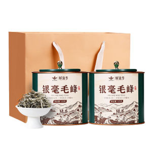 XINYIHAO | High Mountain Bi Luo Chun Green Tea 2026 Fresh Early Picked Daily Drinkable Cold Brew