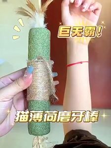 Silvervine Cat Mint Grinding Rod Mint Cat Toys Cleaning Teeth Chew Stick Pet Snacks Sticks Catnip Teasing Wood Rope Toy