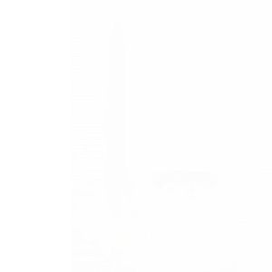 Ainna Rapid Drying Induction Hand Dryer - Hygiene Upgrade!