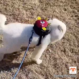 Cute Monster Pet Backpack Harness Cat Dog Outgoing Backpack Adjustable Harness Only NoRope Pet Snack Bag