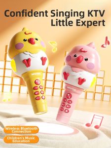 HUANGEN | Early Education Singing Microphone