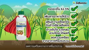อีสไบออน ยกลัง (1 ลิตรx6ขวด) ลดความเครียดของพืช จากสภาวะไม่เหมาะสม เช่น น้ำมากเกินไปขาดน้ำ อากาศร้อน แล้ง