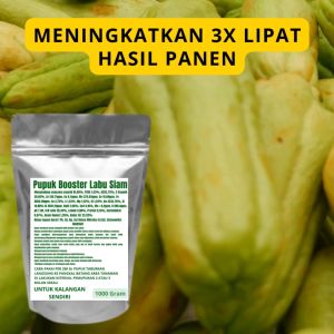 Pupuk Booster Labu Siyam Pelebat Organik Cepat Berbuah Lebat Besar Anti Rontok Pembesar Labu Siyam