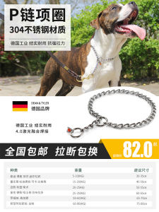 High Strength Stainless Steel P Chain Dog Leash Pet Collar for German Shepherd Tie Dog Lead Pet Supplies Cat/Dog Harness