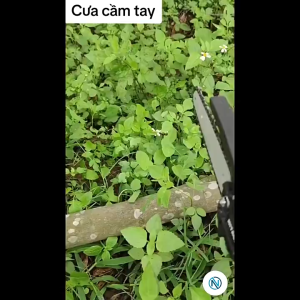 ( Hàng chính hãng hitachi ) Máy cưa xích cầm tay máy cưa gỗ mini dùng pin hitachi 199V pin 45000mAh cell cắt gỗ tỉa cành cực bén