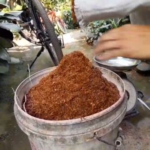 Media Tanam COCOPEAT Serbuk Sabut Kelapa 1 kg