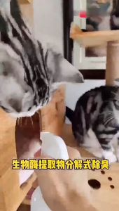 Pet Deodorant Spray - Spray Hilang Bau Busuk Kucing Pet Removal Deodorizing Spray 100ML & 500ML Kurap Baru Busuk 宠物除臭喷剂