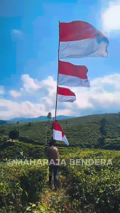 BISA COD / Bendera Merah Putih Indonesia Agustusan Ukuran Besar Kecil Panjang Jumbo Bahan Katun Micro Premium /Bendera Indonesia Merah Putih Kain Katun (PREMIUM)