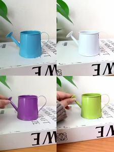 【A】Mini Watering Can Metal Vintage Long Spout Small Pot Indoor Plants Home Decoration Garden Tool Cute