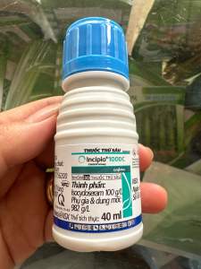 Thuốc trừ sâu nhện bọ nhảy bọ trĩ Incipio 100DC 40ml