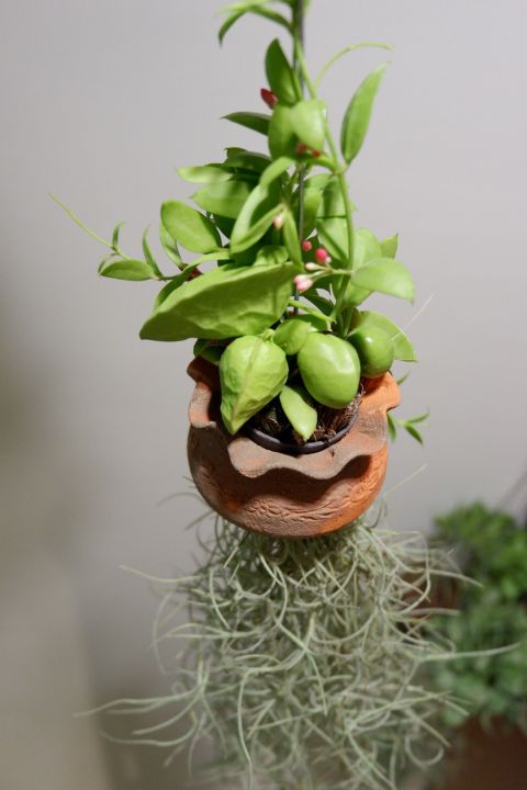 Home&garden เดฟกระเป๋า กระถางดินเผาพร้อมแขวน