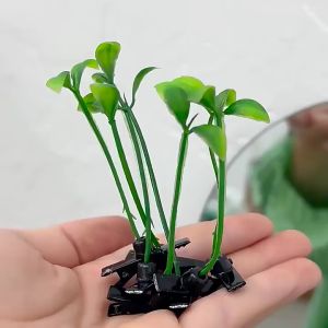20 Pcs Plant Hairpin Bean Cute Girls Sprout Hairpin Ho Artificial Bean Sprouts Cute Girls