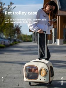 VOA | Space Capsule Style Portable Pet Carrier