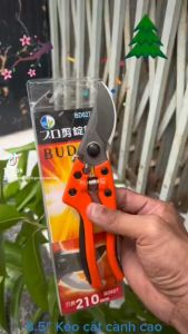8.5 Kéo cắt cành cao cấp BUDDY BD027