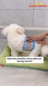 Honeycare Odor Control Deodorization Pet Diaper Dog diaper Male Wrap And Female Diaper 10 pcs/bag Super Breathable Deodorizing Easy