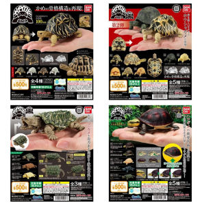 Bandai ญี่ปุ่นจําลองสัตว์แรงบิดไข่ Series เต่าชุดจอแสดงผลชิ้น Joint มือถือของเล่นสะสมในสต็อก